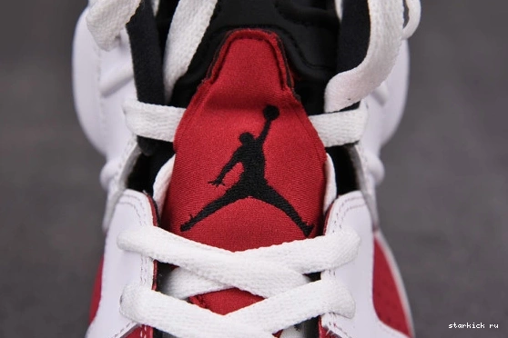 Carmine Retro 6 CT8529-106 (2021) Jordan CT8529-106 Air 0412